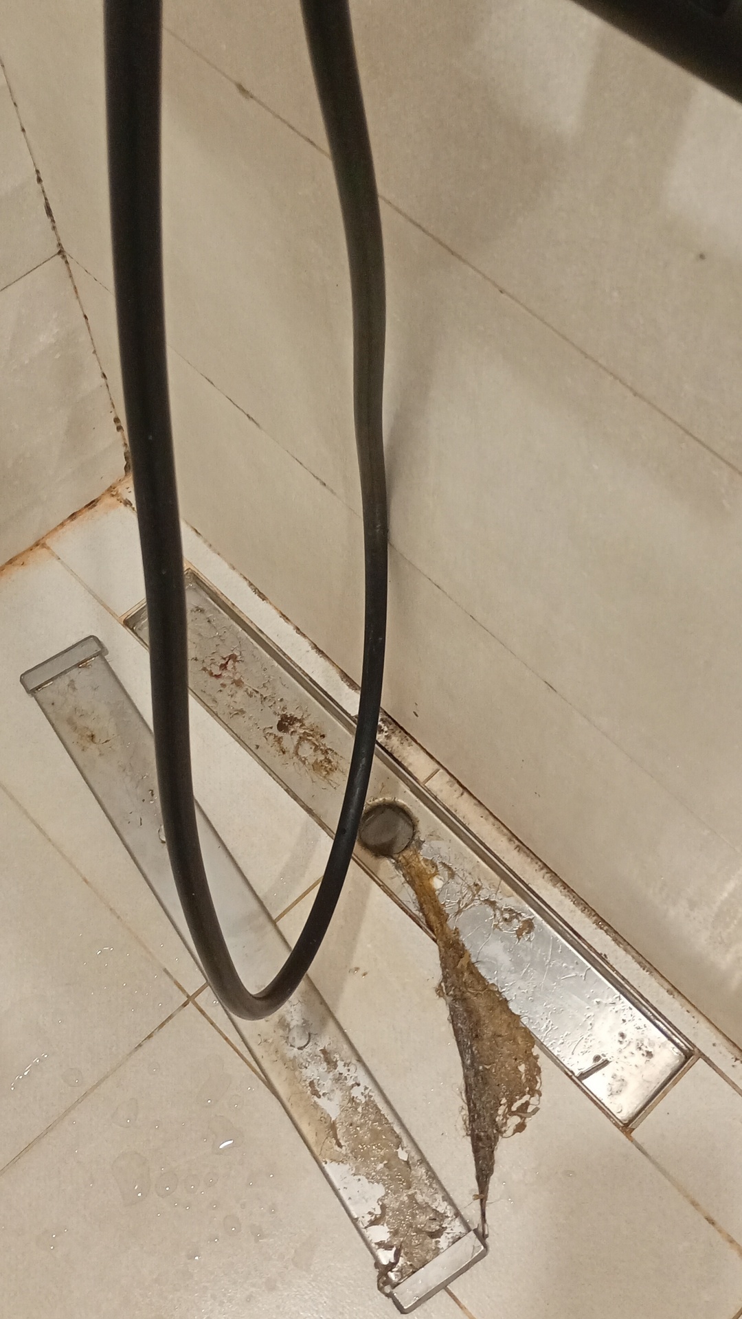 Before photo for Основно почистване