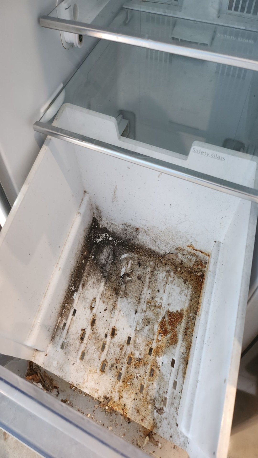 Before photo for Oven Cleaning