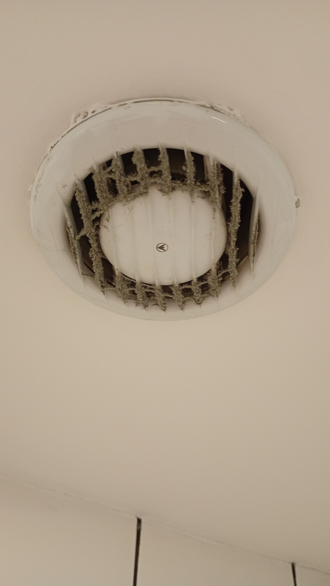 Before photo for Bathroom Cleaning