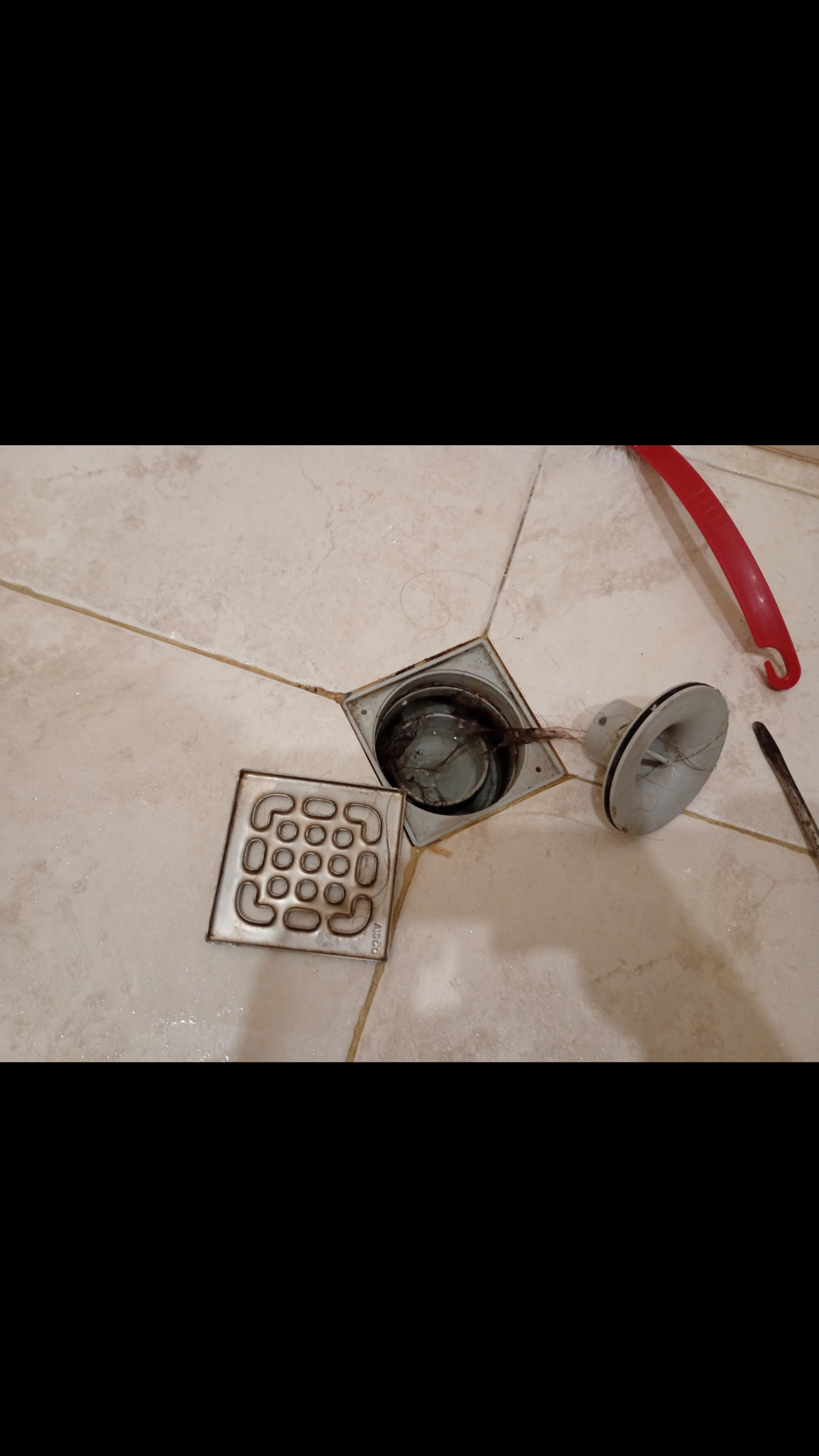 Before photo for Deep Cleaning