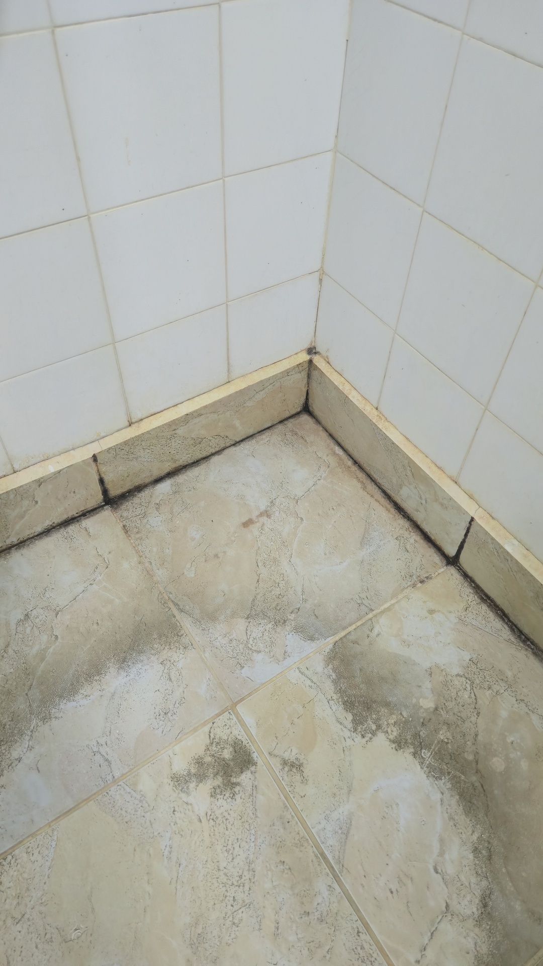 Before photo for Bathroom Cleaning