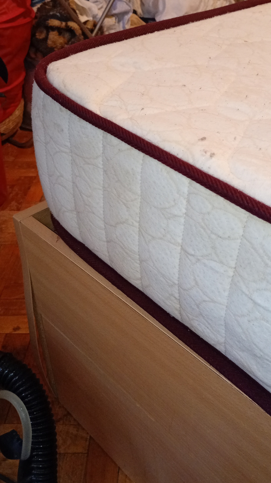 After photo for Upholstery Cleaning