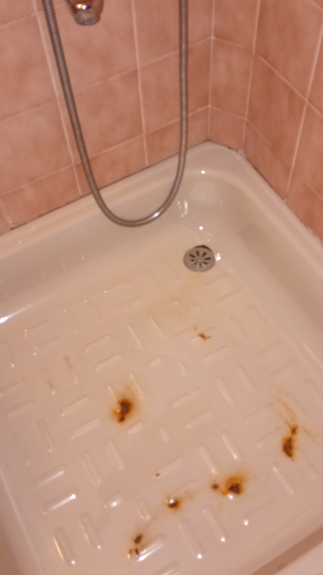 After photo for Основно почистване